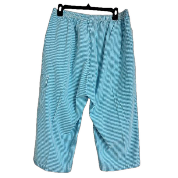 Allison Daley Women’s Teal/White Striped Pants Crop Capris with Pockets Size 16 - Picture 2 of 5